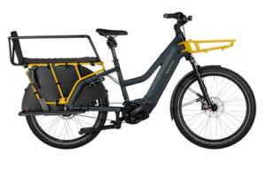 Riese&Müller Multicharger2 Mixte GT Vario